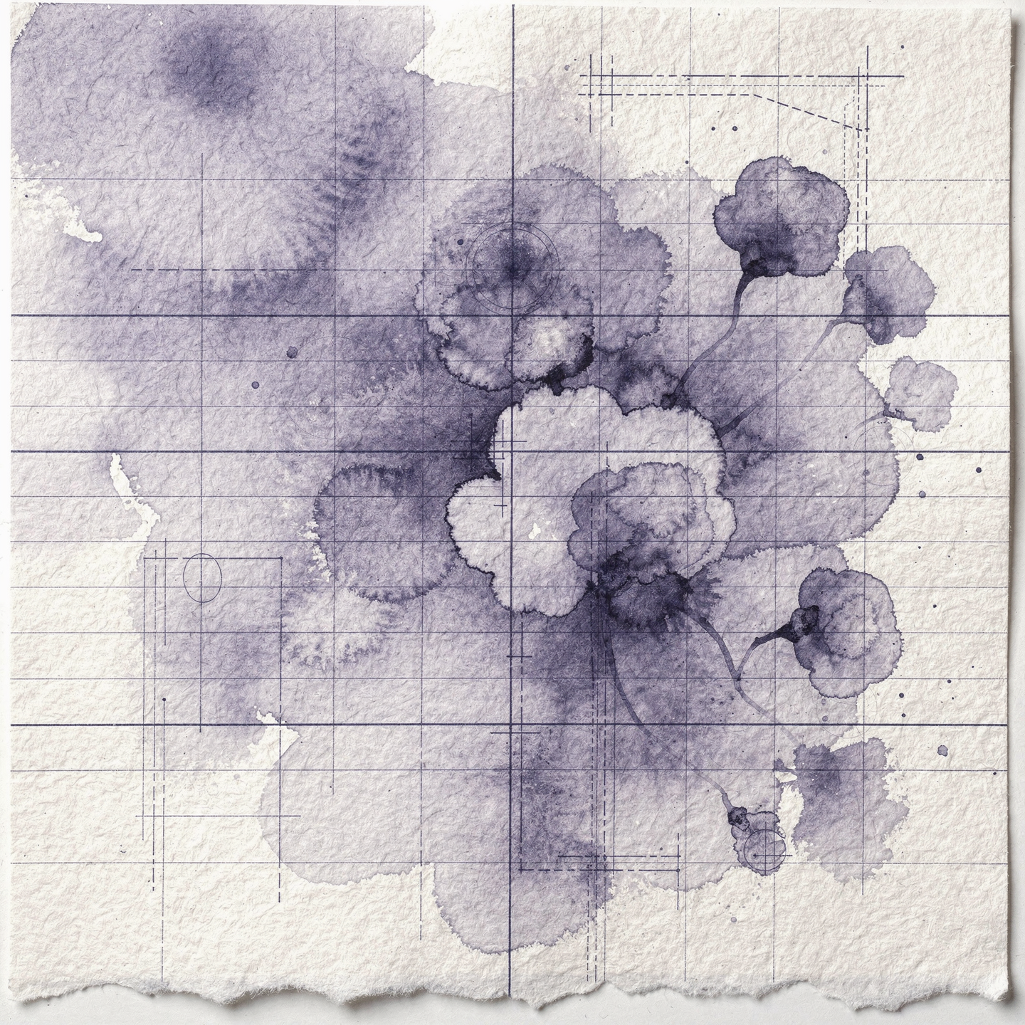 Textuur — blueprint